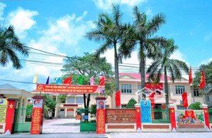 bán đất tại phố thuận thành, phường đông mai, tỉnh quảng ninh. diện tích 85m2 lô góc 2 giá 700tr