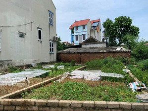 47,1m2 đất trung tâm xã trung hoà, chương mỹ giá hơn 1. x tỷ - sẵn sổ đỏ - ô tô vào - dân đông ở