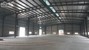 Cho Thuê Xưởng Kcn Bàu Bàng Bình đương, Diện Tích Xưởng 1ha1 Bao Gồm 3 Phân Xưởng 65.325ng/m2