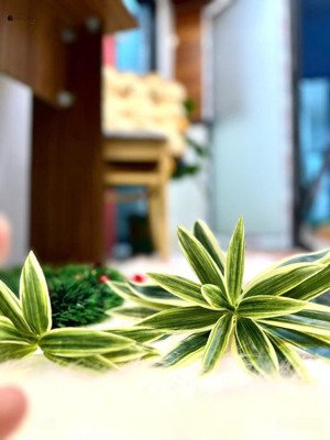 phòng đẹp 2pn dạng studio, có ban công full đồ, gần etown, tân bình