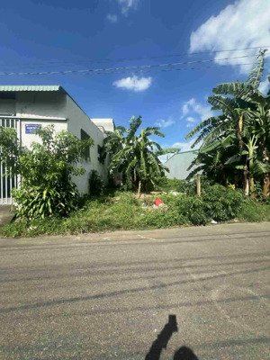 bán đất thổ cư 125m² đ. số 13 hoà long, bà rịa giá 625triệu, sổ riêng, ngay vòng xoay gần cao tốc