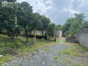 Vườn Mít Bình Lợi Vĩnh Cửu Diện tích : 2000m2 ( 27 x 75 )