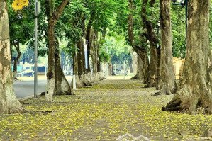 cơ hội đầu tư-phố vip hà nội-mặt ngõ nông-dân xây-gần ô tô- nhỉnh 11 tỷ sở hũu 40m -phan đình phùng