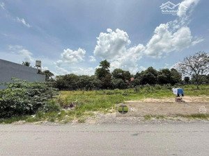 bán đất tại phạm thế hiển, 1,56 tỷ, 80m2, q8, hcm