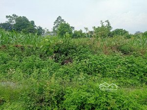 cơ hội vàng giá chỉ hơn 8 triệu/m,mặt tiền khủng 18,18m,đường rộng 6m ôtô tránh - xã phú cát,tp hn!