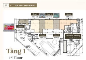 hiếm có: shop khối đế mặt tiền 11.5m, đã có sổ riêng giá gốc cđt, kinh doanh ngay