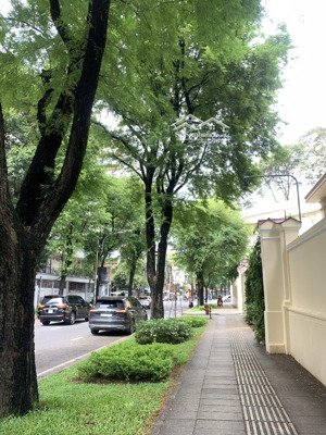 khách sạn vip thủ khoa huân quận 1, dt 120m2 xây 9 tầng bề ngang 8m, dòng tiền đỉnh, chỉ 108 tỷ