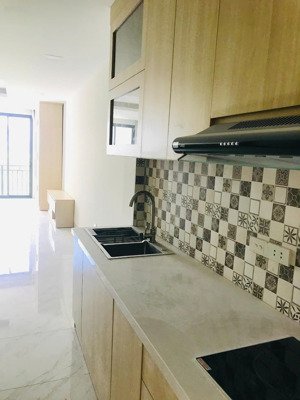 cho thuê căn hộ đẹp xịn ngay 33 nguyễn sơn, 2 pn có đầy đủ đồ