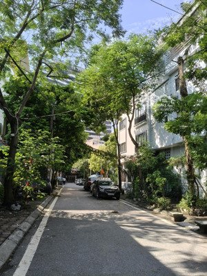 bán nhà đường phố đỗ nhuận, quận bắc từ liêm, dt 105m2, mt 7m, vỉa hè rộng, giá 37 tỷ 5