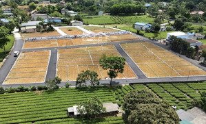 bán đất nền 70m2 tại thị trấn ba đồi