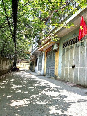 bán nhà mới trương định thông nguyễn an ninh hai bà trưng - thang máy bãi ô tô gửi ngay nhà