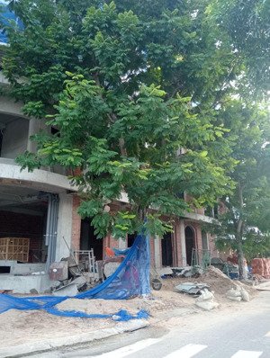 bán nhà mặt phố nguyễn duy cung, 4,9 tỷ, 85m2, view đẹp, giá tốt