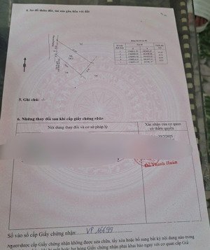 đất túy loan đông, 146m2 ngang 8,3m nở hậu gần chợ túy loan chỉ 300m