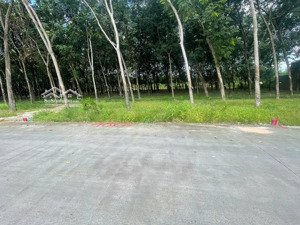 đất chánh phú hoà 5 lô liền kề diện tích 10 x 65 sát bên chợ chánh lưu, dt 741