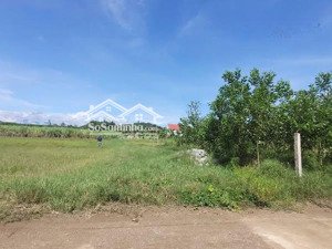 bán đất thổ cư giá rẻ tại diên tân diên khánh