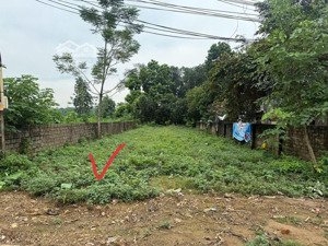 bán đất chính chủ sổ đỏ 900m² thôn kim đái, xã đoài sơn tây mt 22m, giá 9,5tr/m²