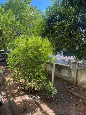 bán nr 400m2 tại đường 12, vĩnh thái, nha trang, 6 triệu vnd