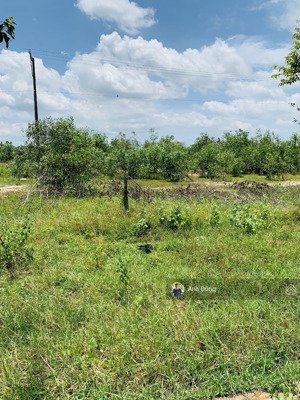 cc bán nền biệt thự 510m2 mặt tiền đường 25c nguyễn ái quốc, đường cổng chính sân bay long thành