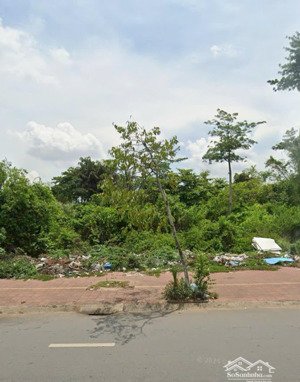 cần tiền đóng học phí bán gấp đất mt tôn đức thắng,phường 5,long phú,sóc trăng giá chỉ 500tr/120m2