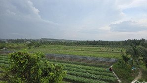 đất rẻ trung tâm thị trấn phú long - bình thuận. tiềm năng sinh lời cao