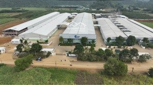 chính chủ bán lô đất thạch quảng 115m2 giá 165 triệu bao đến khi ra sổ