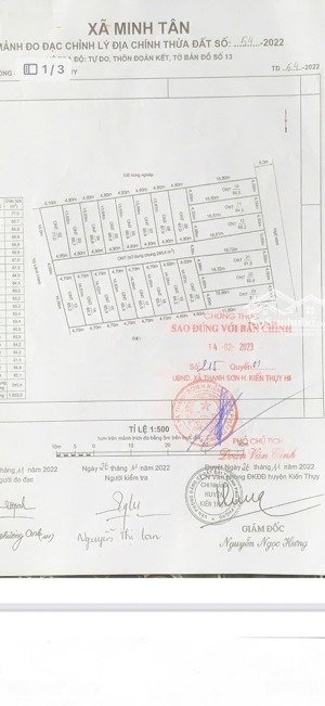 đất gần ga minh tân. đã chia lô 66m2/lô