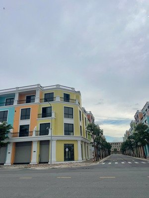 tôi cần bán căn shophouse góc mặt phố đi bộ vũ yên, diện tích đất 127,9m2, hướng đông nam