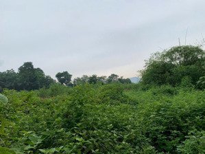 chính chủ bán gấp lô đất 7500m2 hòa sơn, lương sơn, phú thọ. giá chỉ hơn 2tr/m2