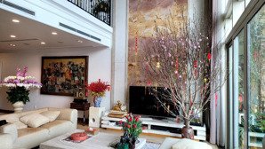 cực vip-cần bán căn góc duplex thông tầng rộng 267m2 view bao trọn sân vườn bể bơi mandarin garden