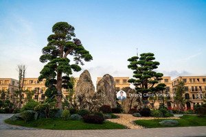 top 5 căn lk và biệt thự đẹp và giá tốt nhất tại pk đảo vua, chiết khấu ngay 31%, nhận nhà ngay!