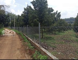 bán lô đất đẹp tại định an vị trí vàng