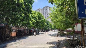 bán căn biệt thự mặt đường hạnh hoa khu đô thị xala dt 120m2, vỉa hè kinh doanh đỉnh