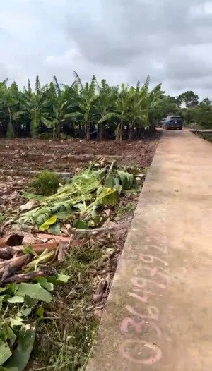 đất đẹp giá rẻ chân cầu quang thanh an lão