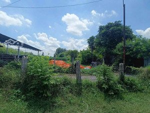 bán nhà cấp 4 + trang trại đang nuôi bò sữa khoảng 400m2 xã an nhơn tây - củ chi
