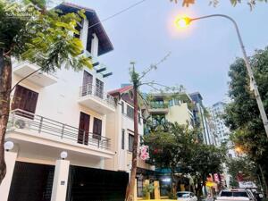 Bán biệt thự VIP phố Trường Chinh, lô góc, vỉa hè, gara, ô tô tránh, kinh doanh, an sinh tuyệt vời.