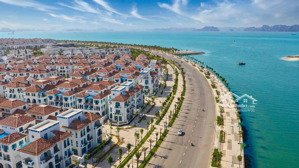 bán căn biệt thự song lập ferria bãi cháy