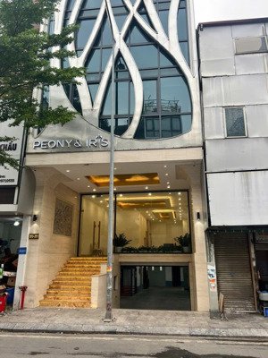 cho thuê nhà mặt phố tôn đức thắng