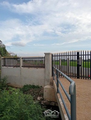 cần bán đất 1550m2 - 10 tỷ đường trương văn đa, bình chánh