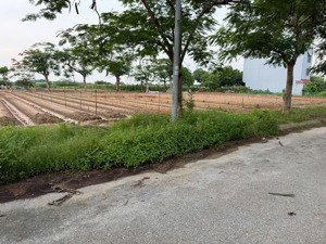 chủ cần tiền bán gấp biệt thự 300m-kđt cienco 5 số đỏ