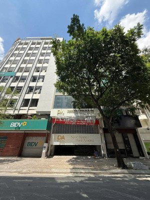 tào nhà mt nam kỳ khởi nghĩa 10x26m 2 hầm 8 lầu vị trí đắc địa hđ thuê 460 triệu