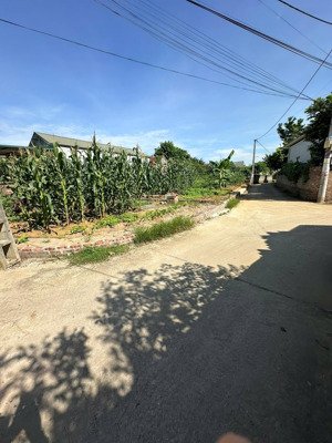 đất đẹp 100m², mặt tiền 6m, nở hậu pháp lý chuẩn, giá cực hợp lý- sổ đỏ trao tay!