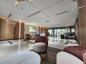 bán căn hộ mới 100% trung tâm quận 6 - khu vực đông dân thuận tiện di chuyển trung tâm