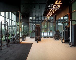 cho thuê căn hộ de la sol, 21 triệu, 85m2, 2pn, 2wc, nội thất cơ bản, hướng đông