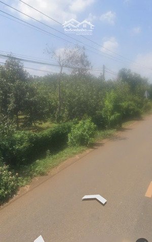 bán đất nền đẹp xuất sắc tại quảng thành, 19,5 tỷ, 7806 m2