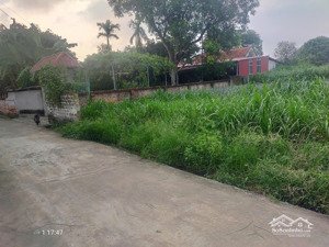 nhanh tay sở hữu lô đất thổ cư giá rẻ tại ba vì, hà nội