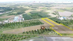 3600m2 đường nhựa. ngay khu đô thị kcn phước đông. 2,6 tỷ