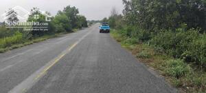 Bán đất mặt tiền đường ĐT 818 xã Bình Thành, Đức Huệ, Long An. DT: 4 héc ta. Giá 40 tỷ