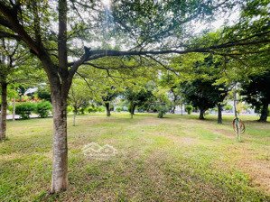 đất biệt thự sông giồng ông tố không khí mát mẻ bốn mùa, liền kề chung cư the sun avenue, 103m2