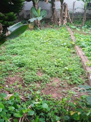 bán đất an thắng biên giang, 41m2, cách 10m ra ô tô tránh