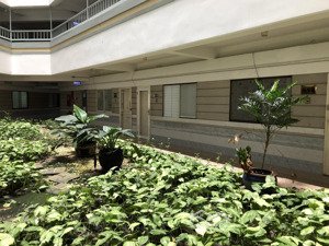 cho thuê căn hộ 1pn đầy đủ nội thất chung cư h3 hoàng diệu